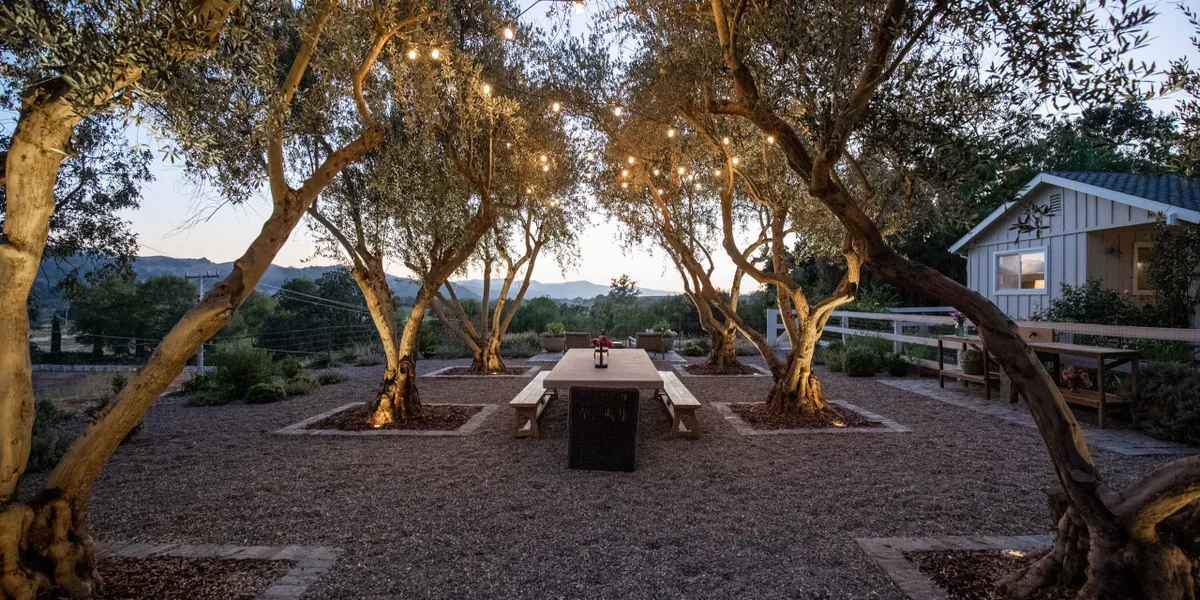 Tree Lighting | AAA Landscaping Beautiful outdoor landscaping with string lights illuminating an elegant dining area under mature trees, creating a warm and inviting backyard retreat.